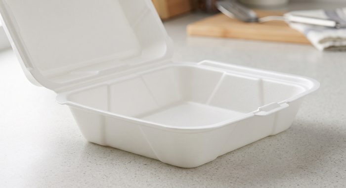 White Foam Square Take-Out Container, 1-Compartment — 9.5×9×3"